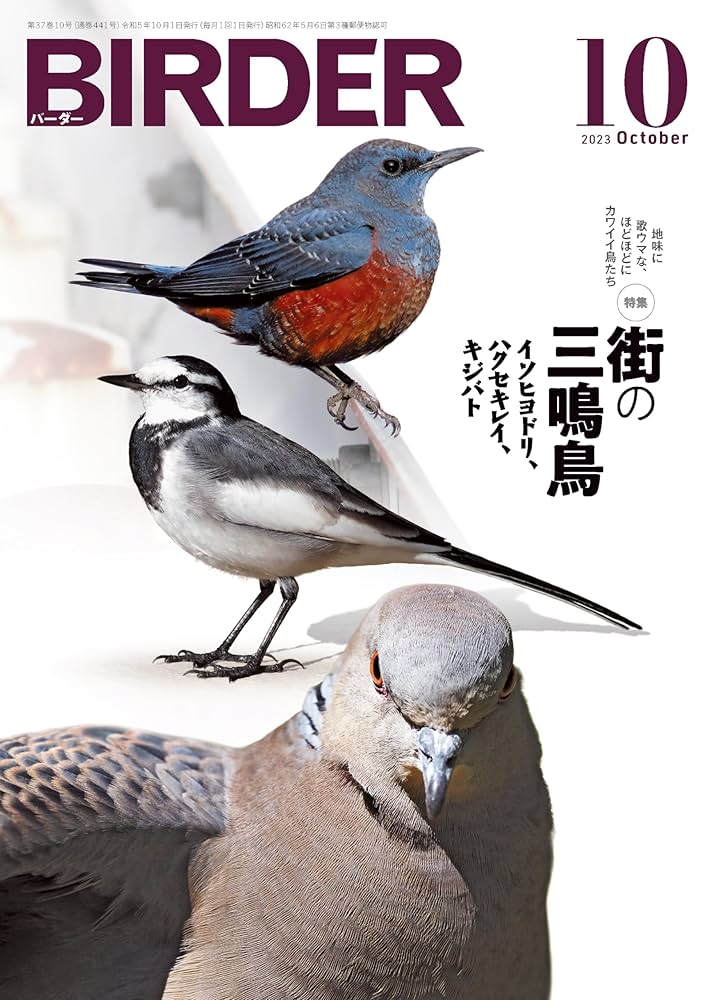 lrik　BIRDER 鳥類観察 2023.1～2024.8 lrik BIRDER 鳥類観察 2023.1～2024.8 lrik BIRDER 鳥類観察